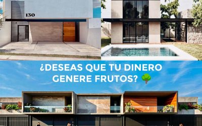 ¿Deseas que tu dinero genere frutos? 🌳