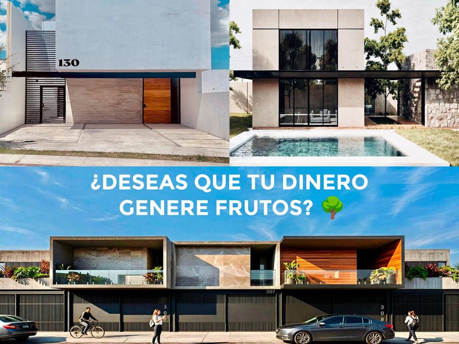 ¿Deseas que tu dinero genere frutos? 🌳